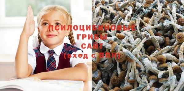 первитин Киренск