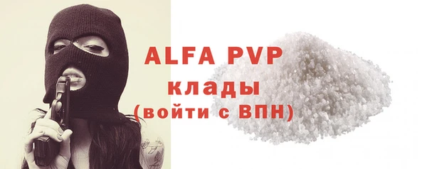 твердый Козельск
