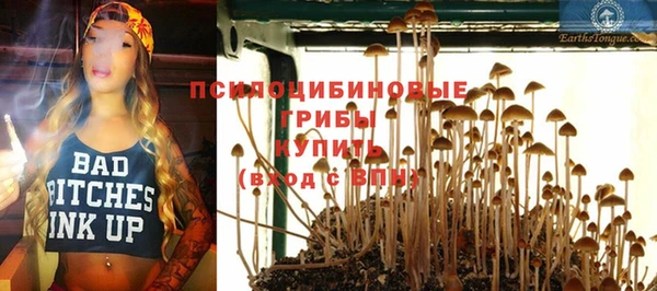 сатива Киреевск