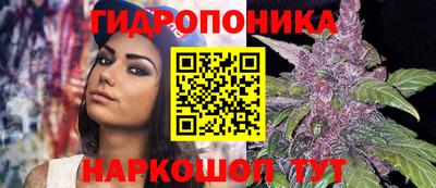 твердый Гай