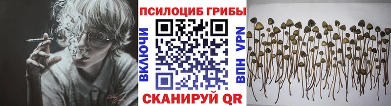 Галлюциногенные грибы GOLDEN TEACHER  Ногинск 