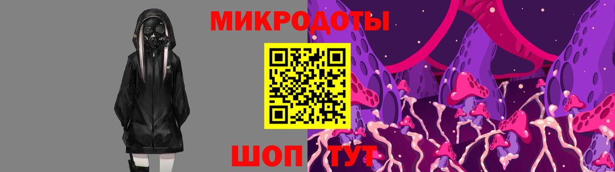 Галлюциногенные грибы Psilocybine cubensis  Вход с VPN  Ногинск 