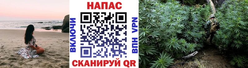 Конопля Ganja  Ногинск 