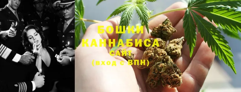 как найти наркотики Ногинск Каннабис индика