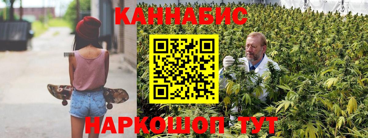 Бошки Шишки Ganja  Бошки Шишки марихуана  Вход с VPN  МАРИХУАНА планчик  Ногинск 